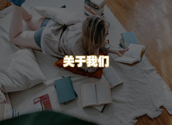 关于我们